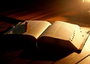 dailybiblereading1