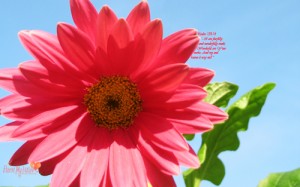 mar09desktopthumbnail