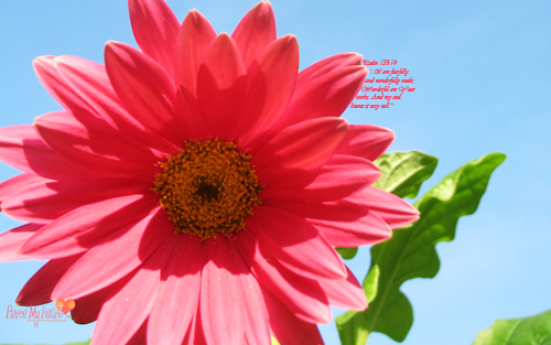 mar09desktopthumbnail