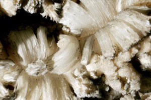 Gypsum Gypsum
